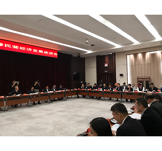 全國(guó)人大代表、方大集團(tuán)董事長(zhǎng)熊建明參加檢察機(jī)關(guān)服務(wù)保障民營(yíng)經(jīng)濟(jì)發(fā)展調(diào)研座談會(huì)